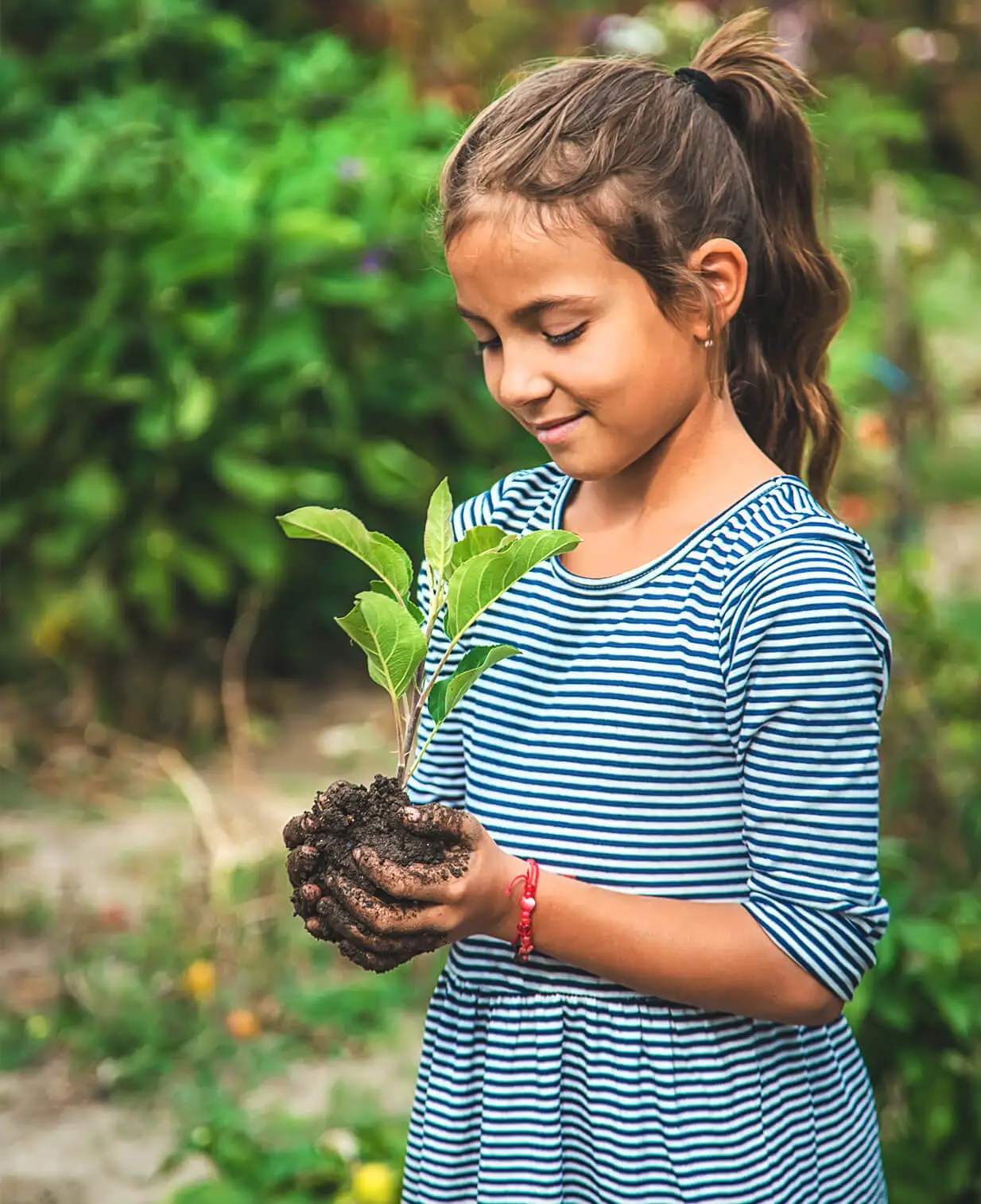 birthday tree plantation in pune