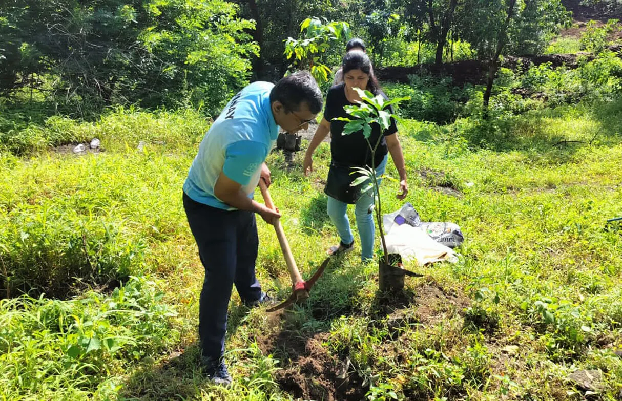 Plant a tree for a loved one