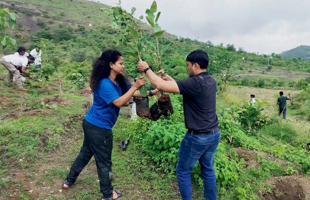 festival tree plantation in pune