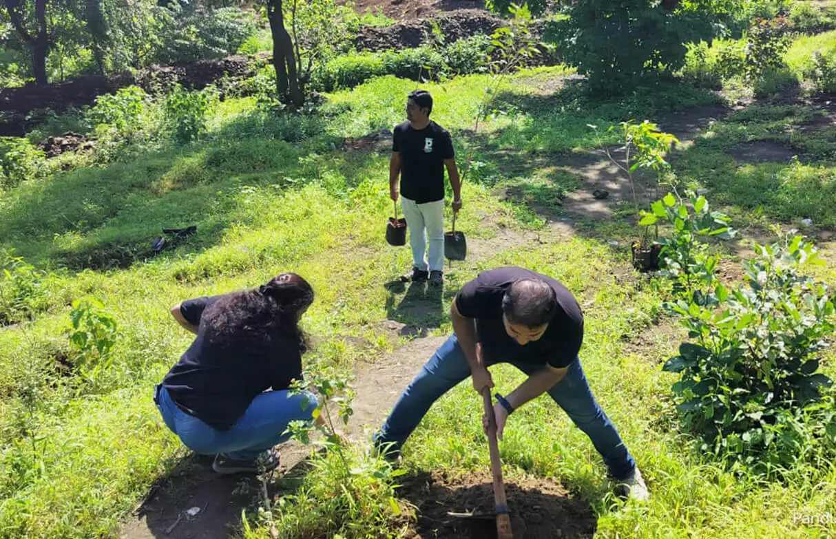 Plant a tree in memory