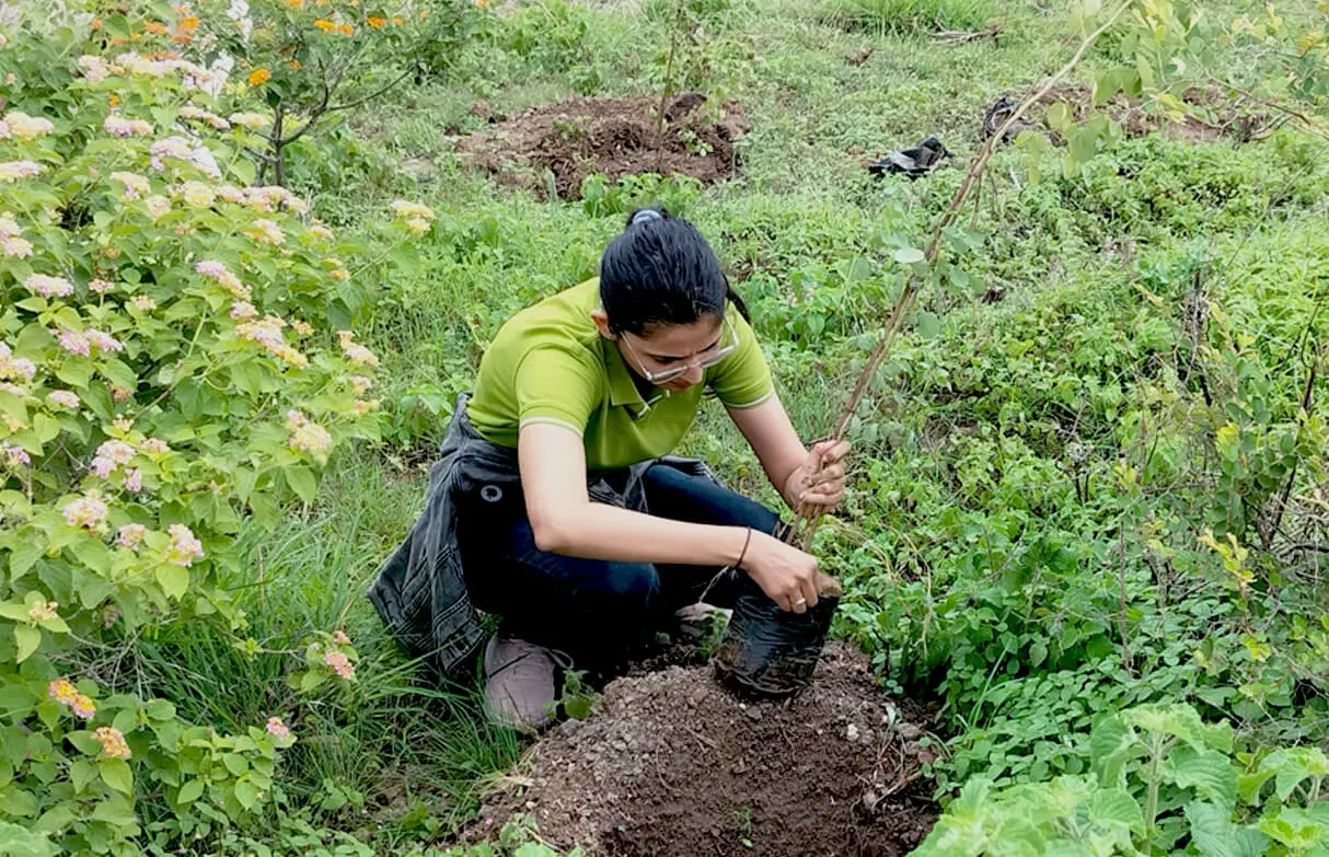 plant a tree in pune for gratitude