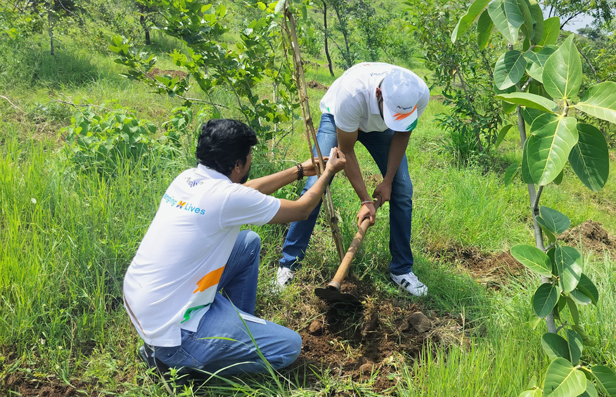Anniversary trees providing oxygen & reducing carbon footprint