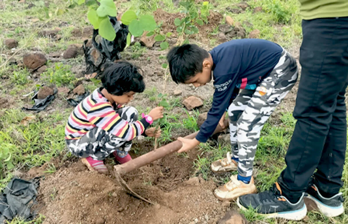 birthday tree plantation