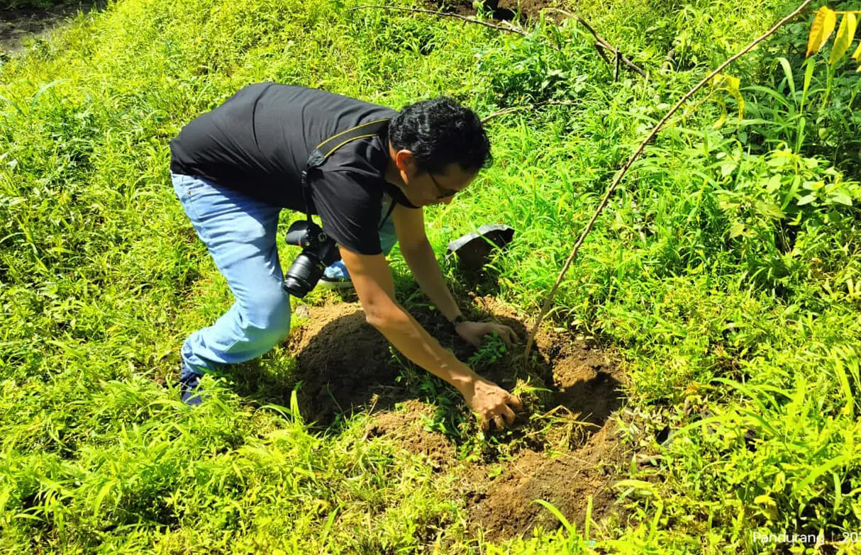 Tribute tree planting