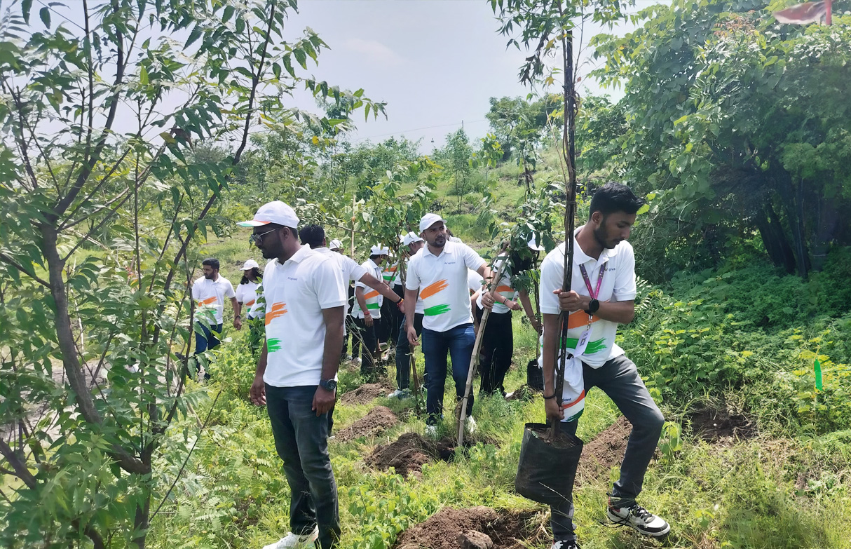 anniversary tree plantation drive in pune