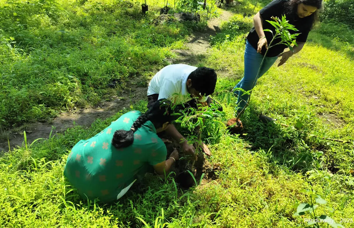 plant in a memory in pune