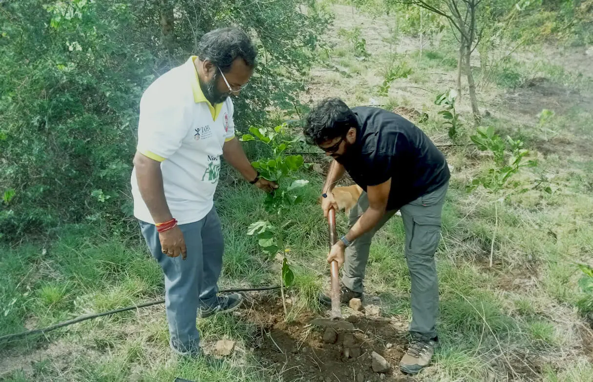 Plant a Gratitude Tree in Pune & India