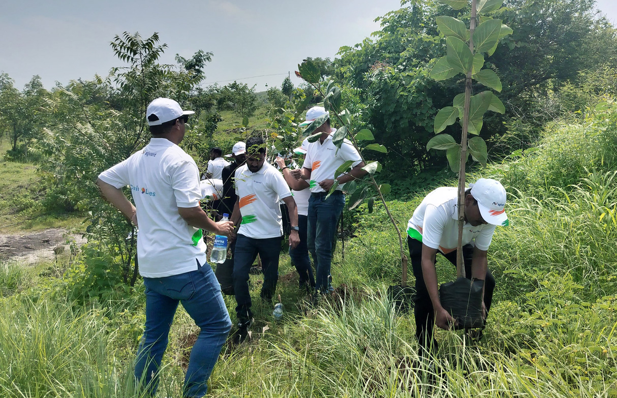 Tree plantation drive in Pune – Anniversary special