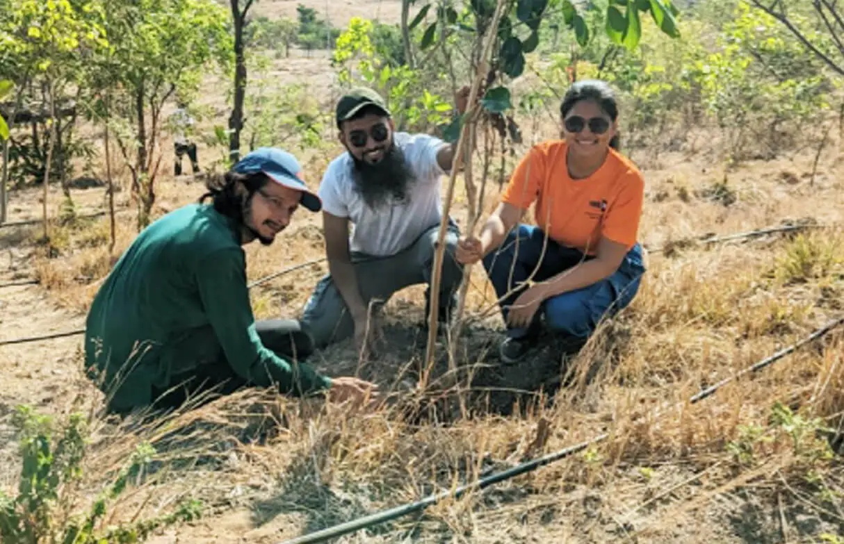 gratitude tree plantation in pune