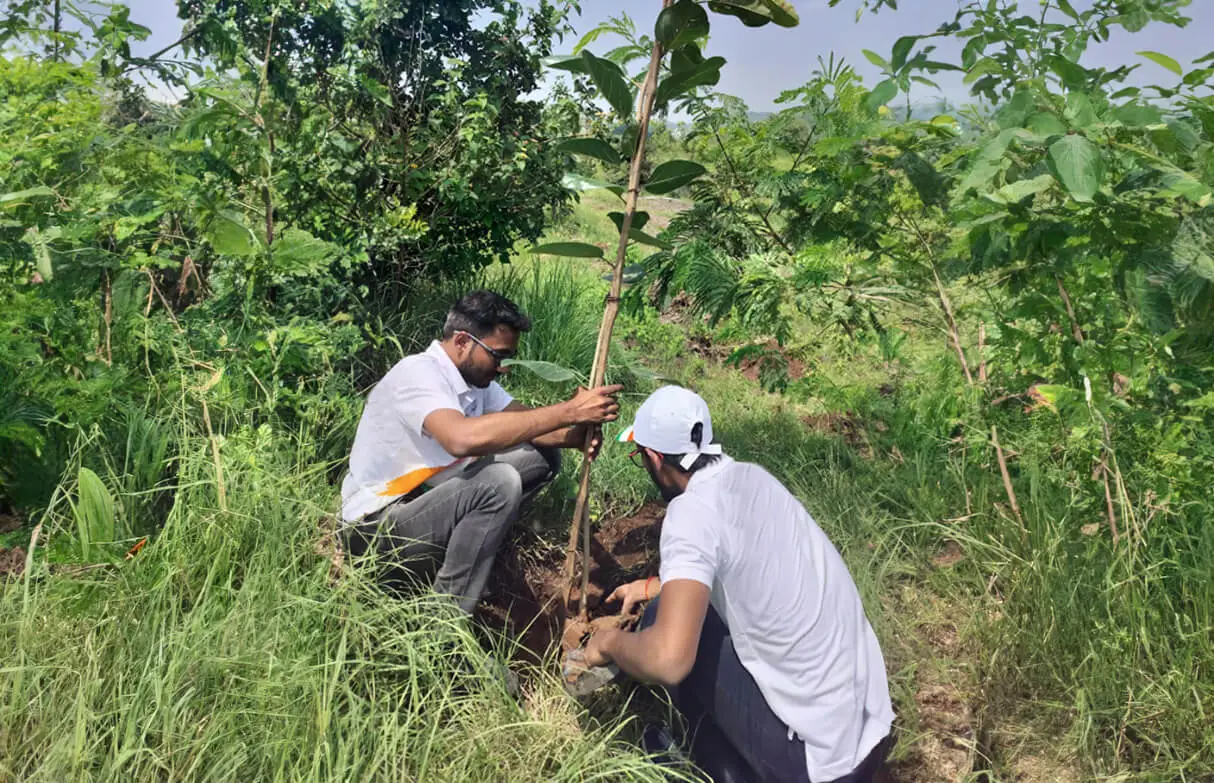 Plant a Tree & Show Your Appreciation