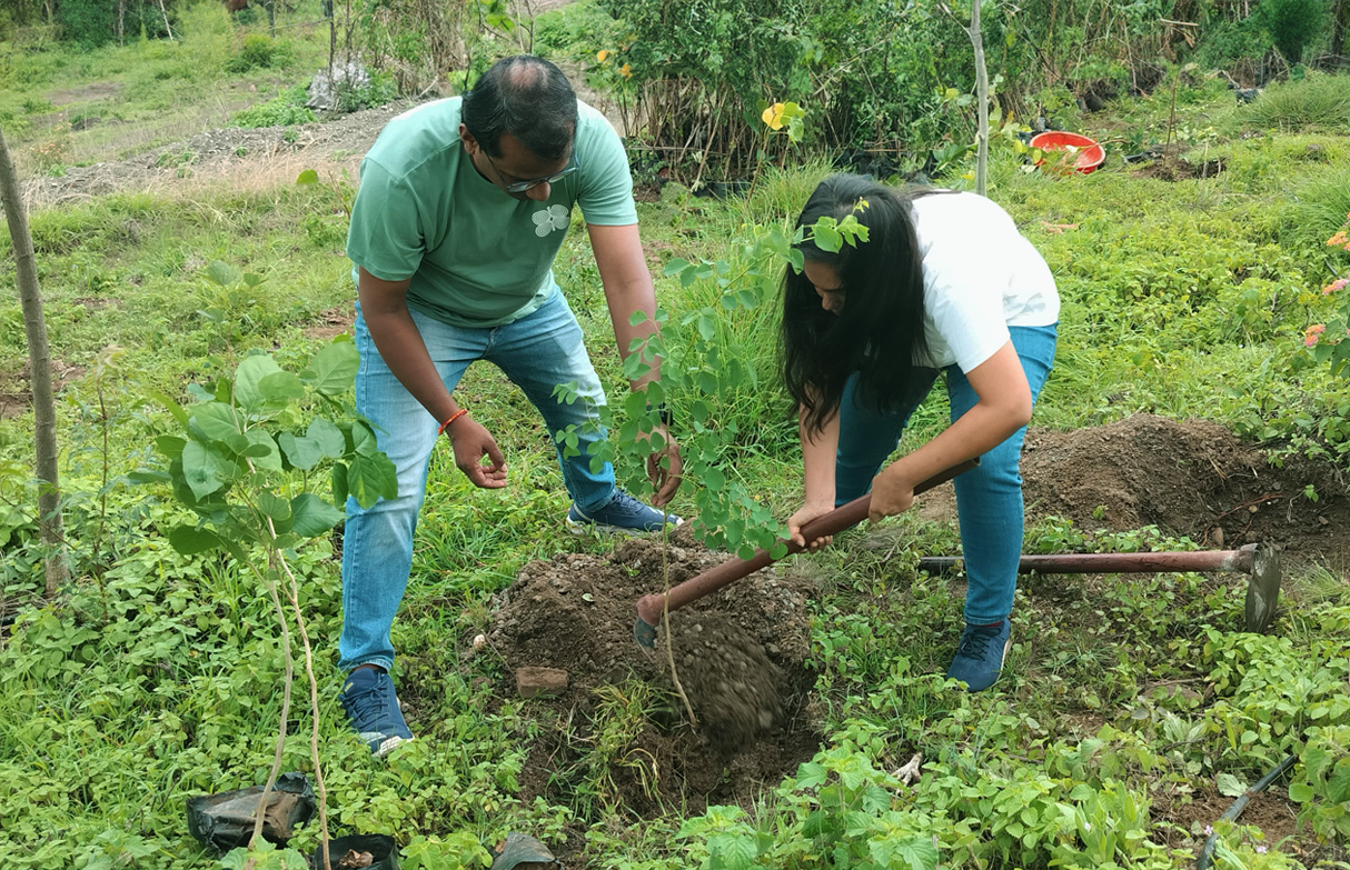 Hands planting a sapling – Anniversary green initiative