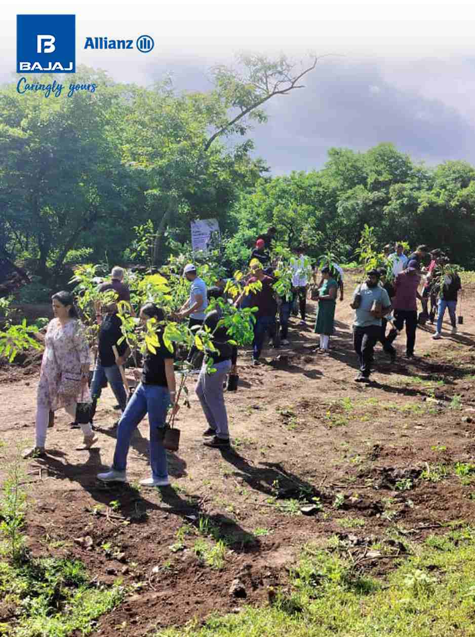Corporate and community tree plantation initiatives