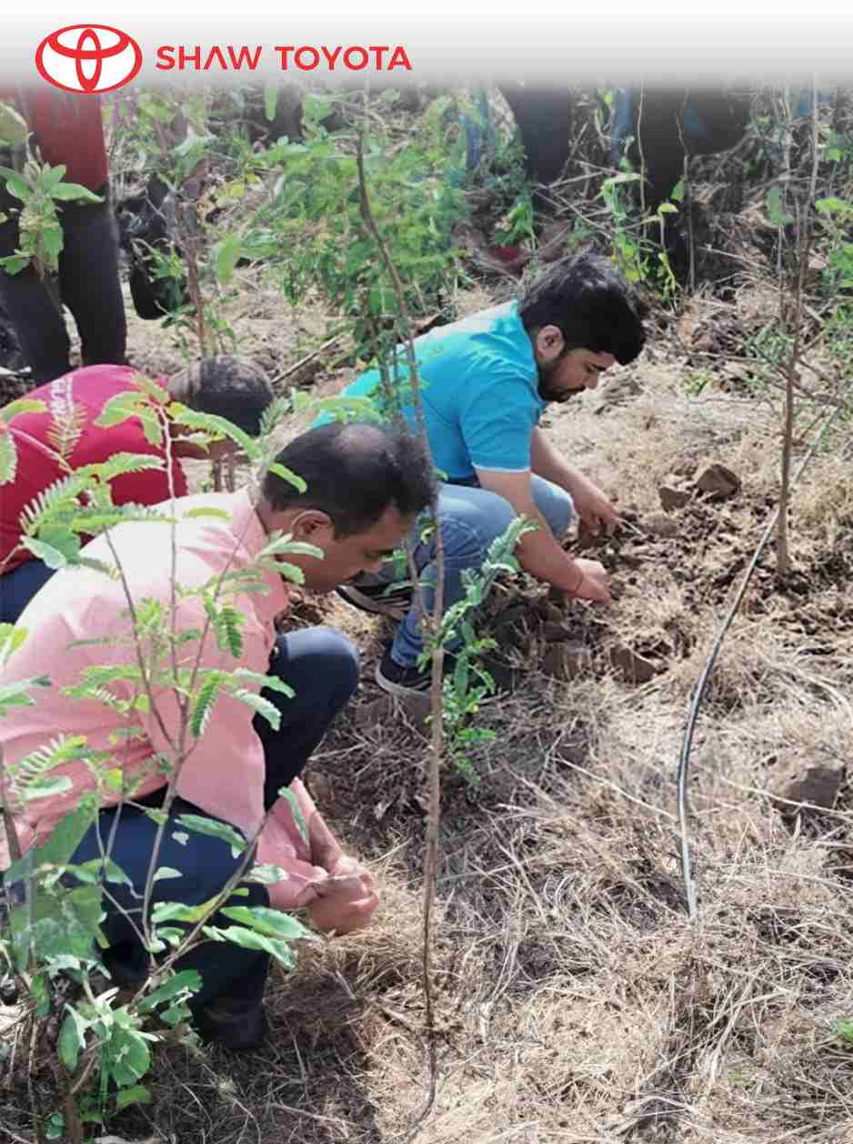 NGOs and corporate teams collaborating for large-scale tree plantations