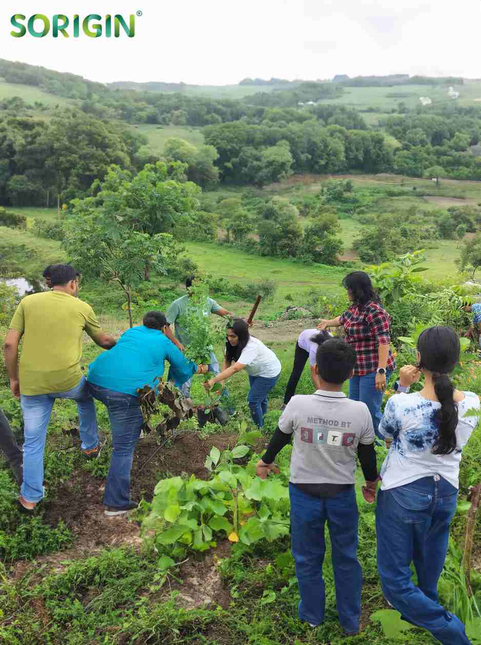 Volunteers participating in a tree plantation drive in Pune, India
