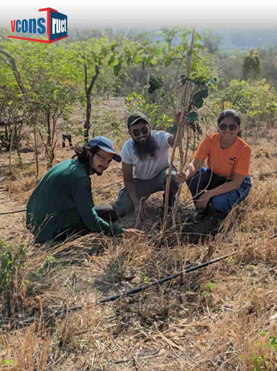 Corporate employees and community members planting trees for sustainability