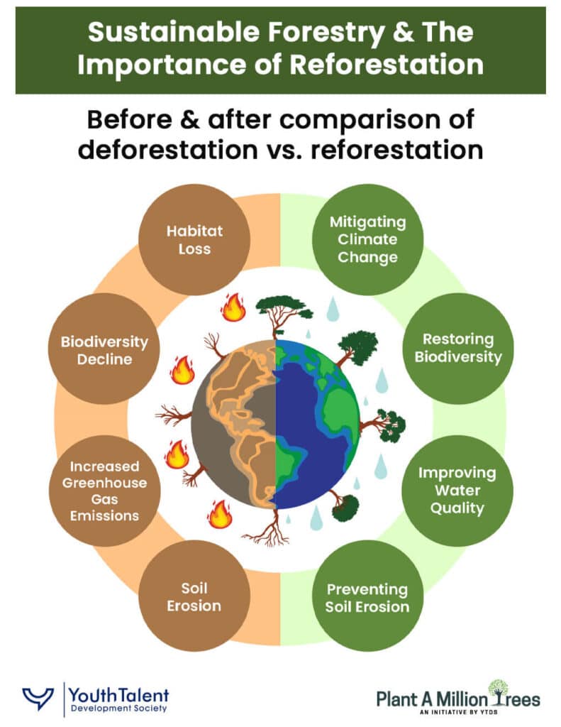 reforestation vs deforestation