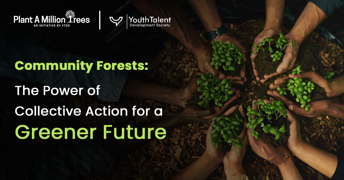 community forests