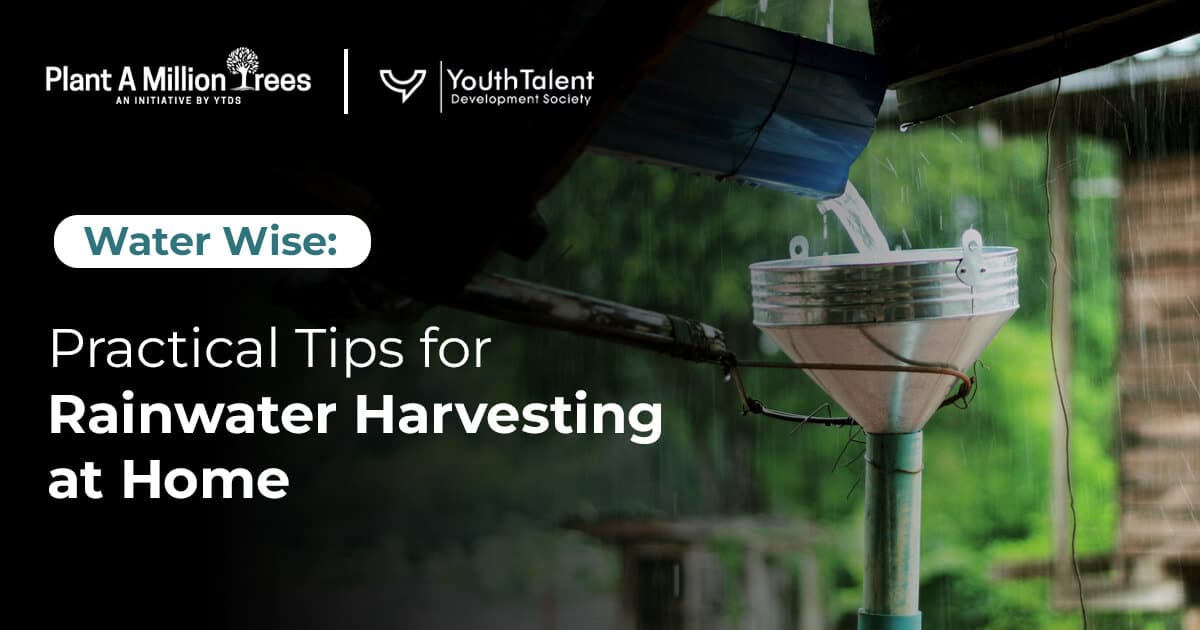 rainwater harvesting at home
