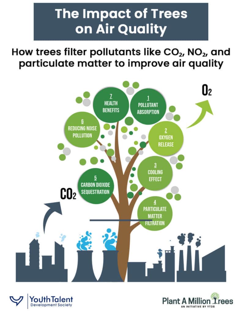 impact of trees on air quality