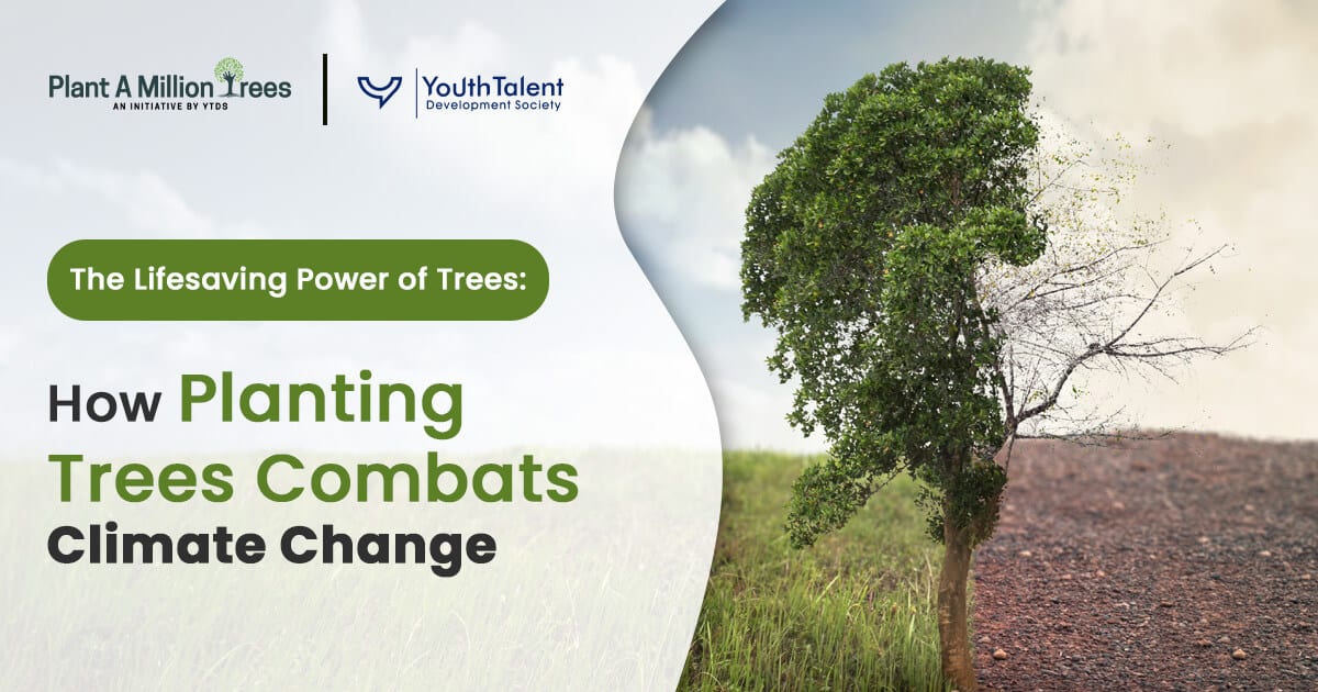 planting trees to fight climate change