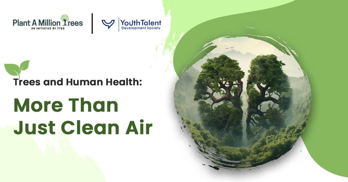 trees and human health