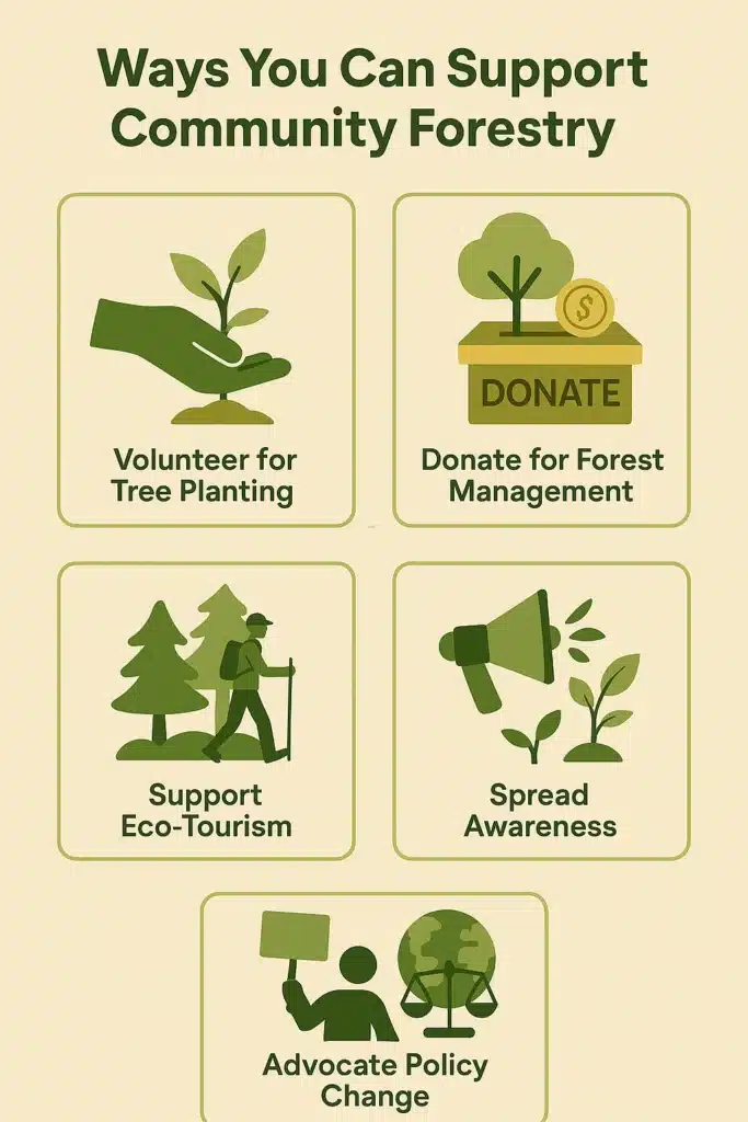 How Can You Get Involved in Community Forestry?