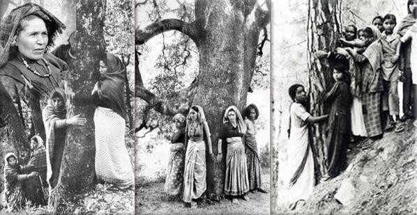 tree hugging protest
