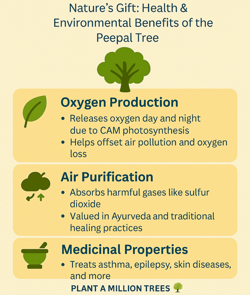 environmental and health benefits of Peepal Tree