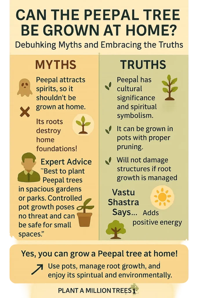 can the peepal tree be grown at home?