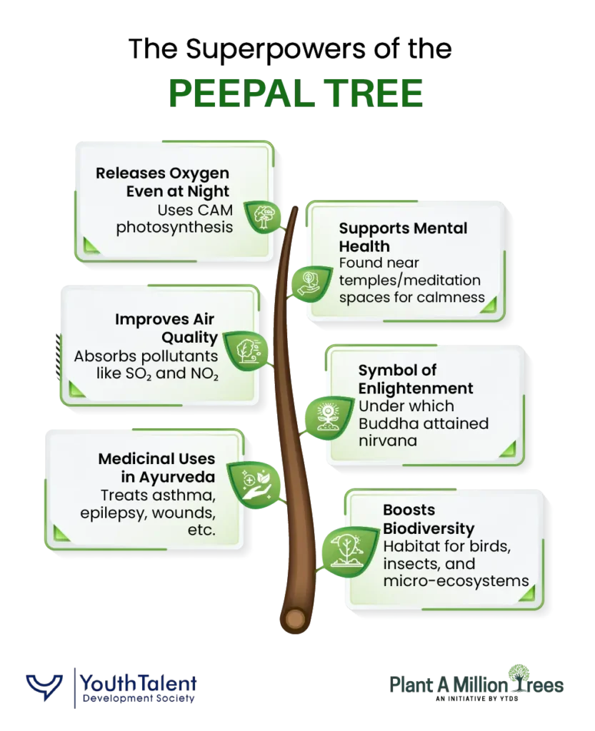 the superpowers of the peepal tree