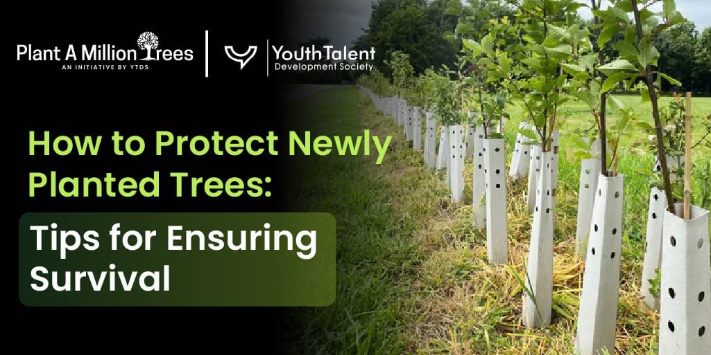 how to protect newly planted tree