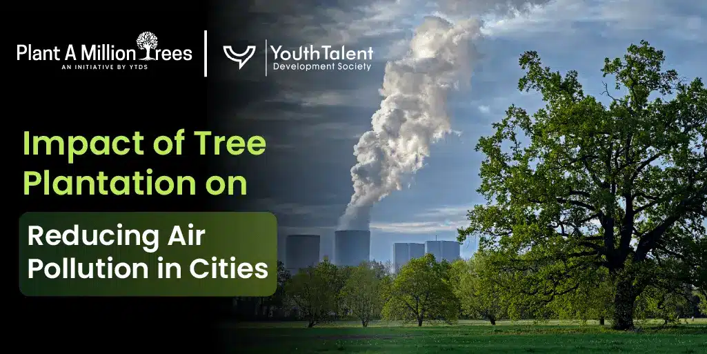 tree plantation and air pollution