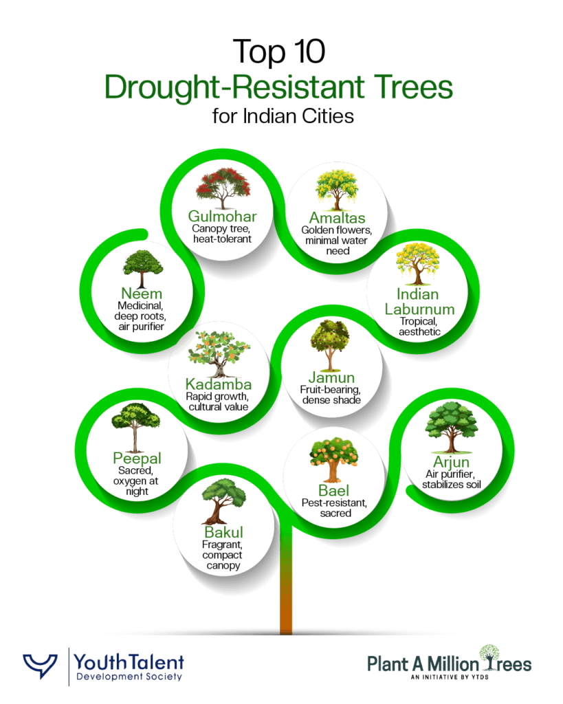 top 10 drought resistant trees for indian cities