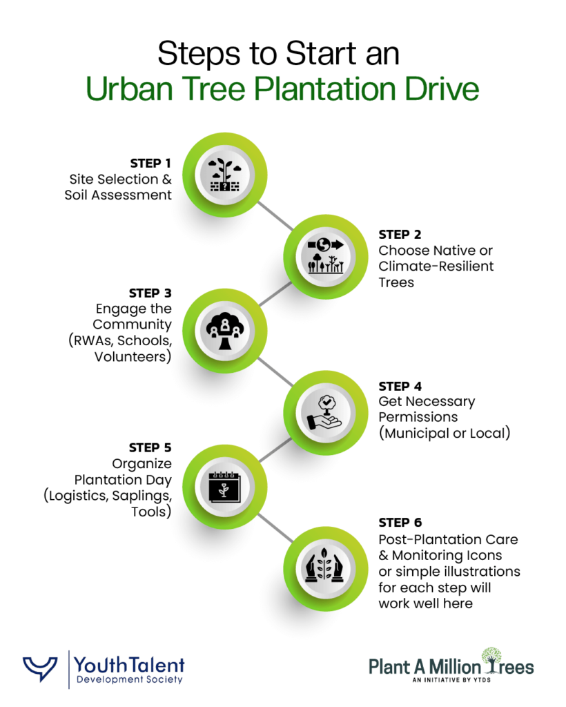 steps to start urban tree plantation drive