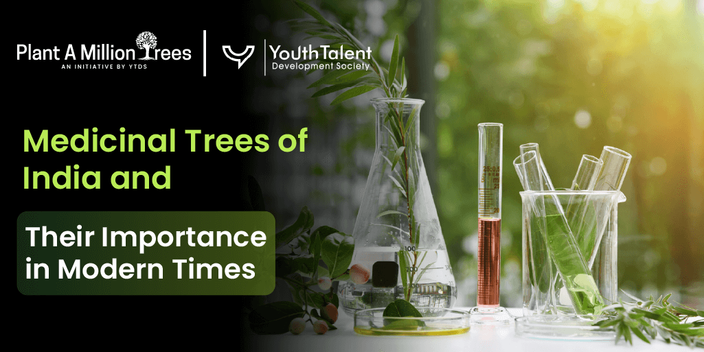 Medicinal Trees of India