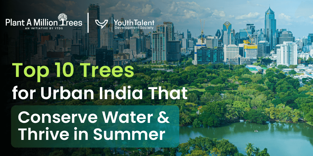 drought-resistant trees in India