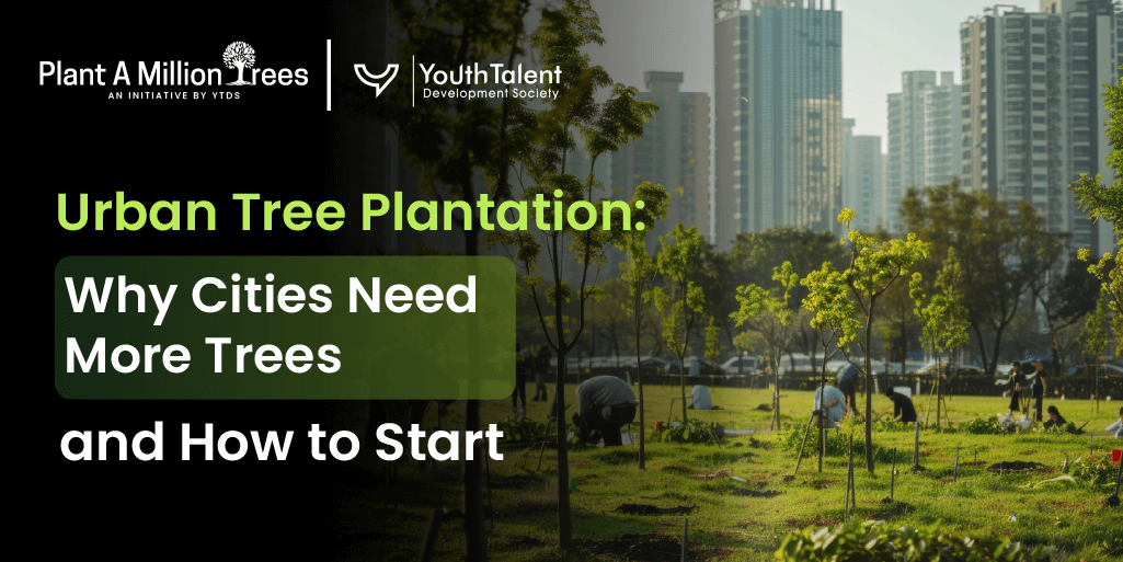 urban tree plantation