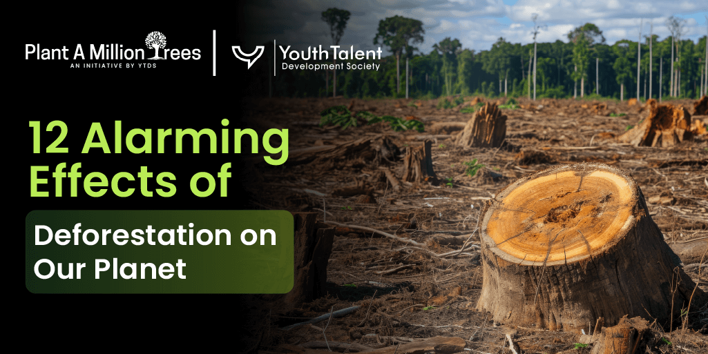 effects of deforestation