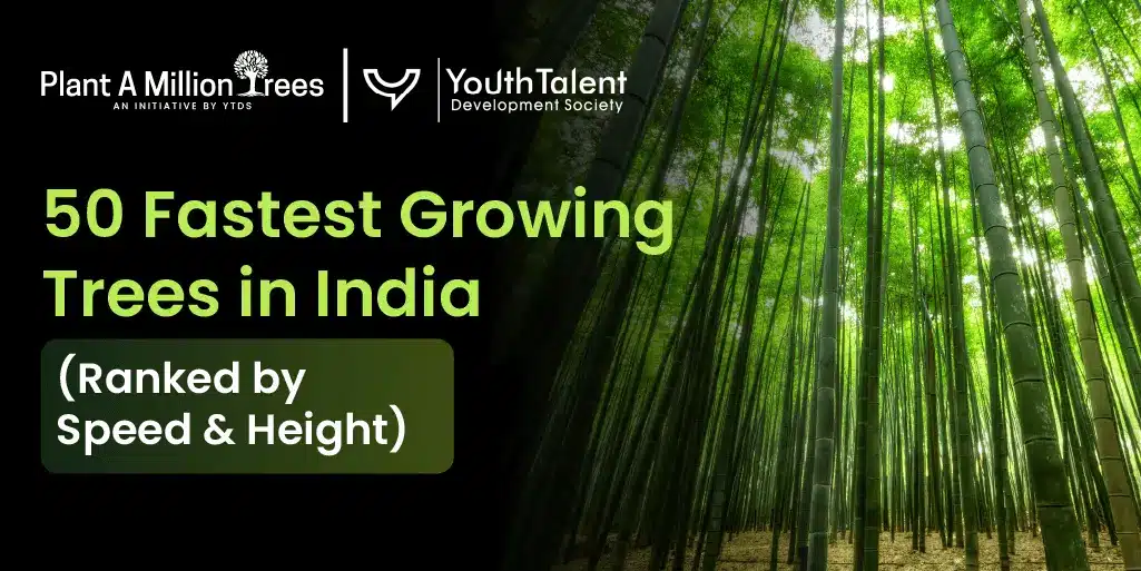 fastest growing trees in india