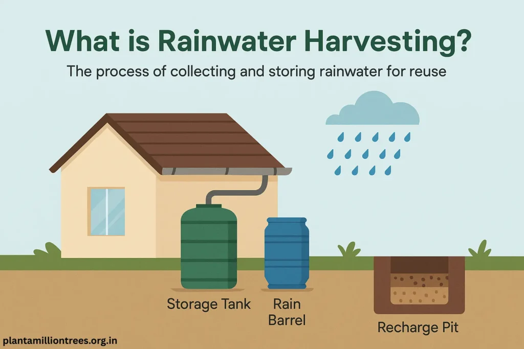 what is rainwater harvesting