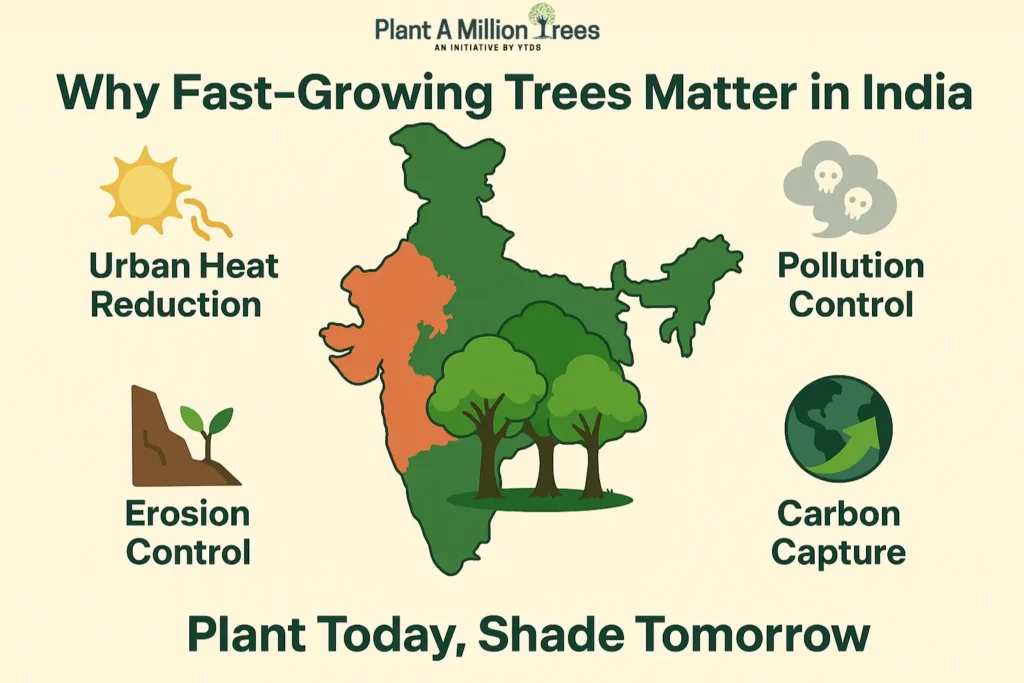 why fast growing trees matter in India