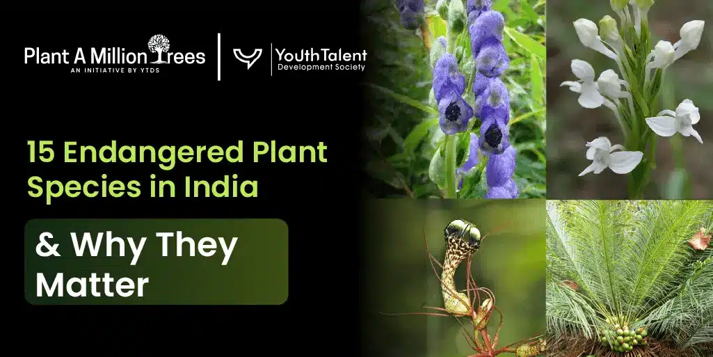 endangered plant species