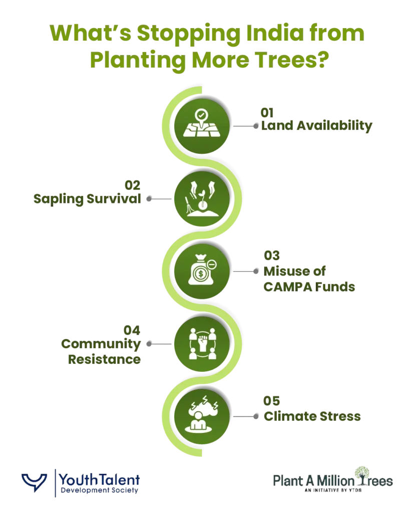 hurdles to planting more trees