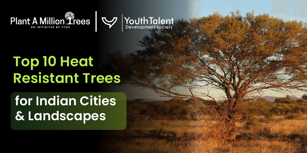 heat resistant trees in India