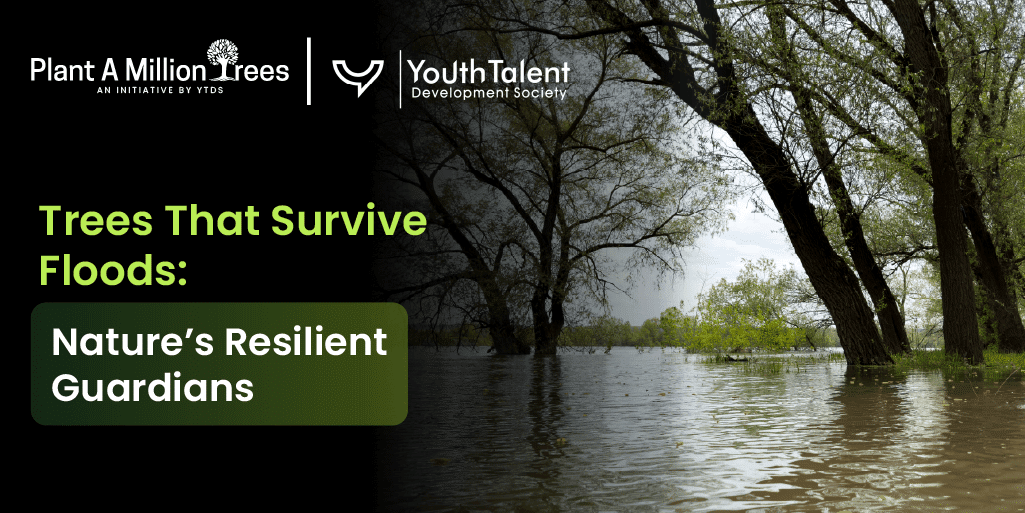 trees that survive floods