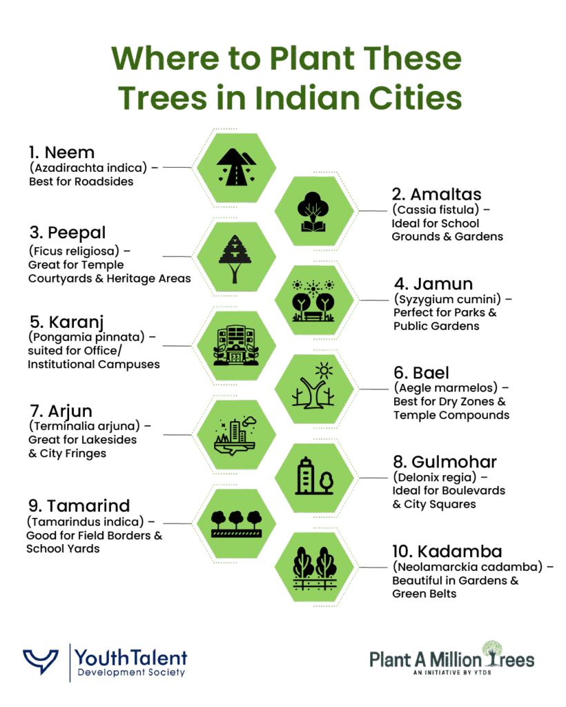 where to plant heat resistant trees in India