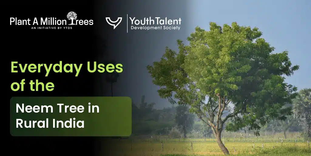 Everyday uses of neem tree in rural India