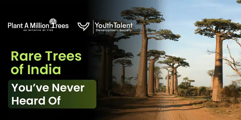 rare trees of India