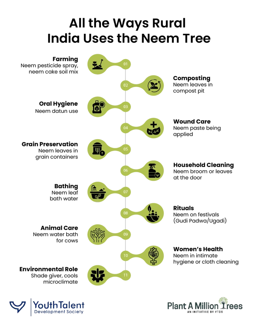 uses of neem in rural India