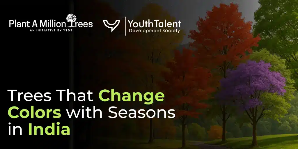 trees that change colors with seasons in India
